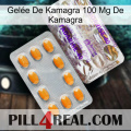 Gelée De Kamagra 100 Mg De Kamagra new12